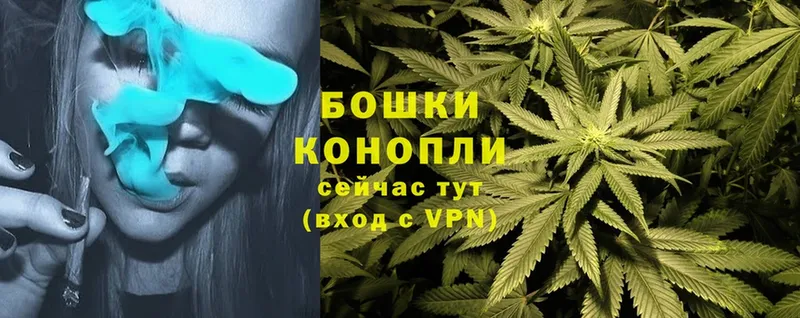 где продают   МЕГА зеркало  Канабис OG Kush  Кашин 